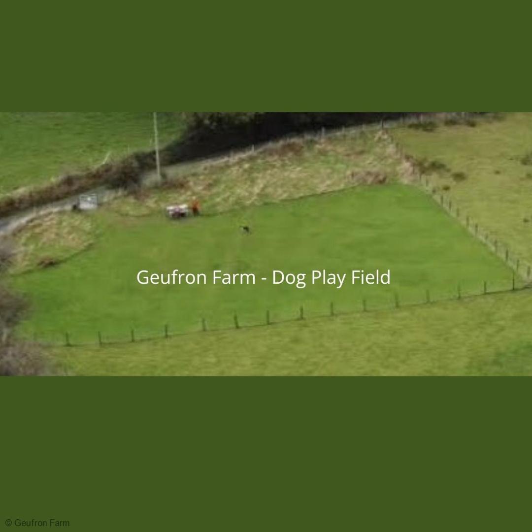 Farmhouse & Cottage At Geufron Farm - Dog Friendly Bryn-crug Ngoại thất bức ảnh