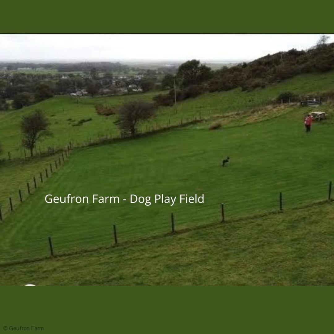 Farmhouse & Cottage At Geufron Farm - Dog Friendly Bryn-crug Ngoại thất bức ảnh